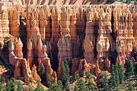Southwest Canyon Express 3 Day Tour