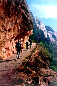 Zion Canyon 1 Day Adventure