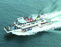 The Whales' Kingdom Guided Panoramic Tour