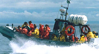 The Whales' Kingdom Zodiac Tour