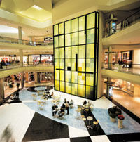LA Shopping Extravaganza Tour