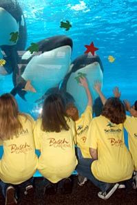 SeaWorld&reg; San Diego Ticket with Transport