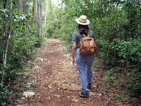 Hiking the Guajataca Forest