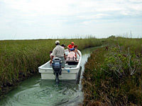 Sian Ka'an Wilderness Adventure