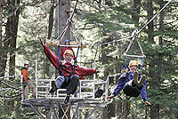 Sky-High Skyline Eco Adventure