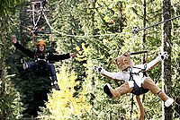 Sky-High Skyline Eco Adventure
