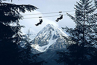 Twilight Nightline Eco Adventure
