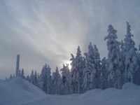 Midnight Sun at the Arctic Circle and Santa Claus Safari