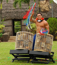 Polynesian Cultural Center: Twilight Package