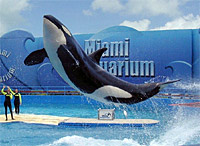 Miami Seaquarium