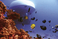 Atlantis Maui Submarine Adventure