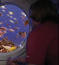 Kona Submarine Adventure and Royal Kona Resort Luau