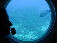 Kona Submarine Adventure and Volcano Helicopter Tour