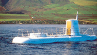Maui Submarine Adventure plus Royal Lahaina Luau