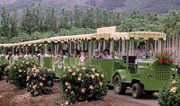 Maui Value Pass