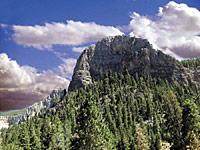 Mount Charleston Luxury SUV Tour