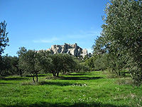 Arles, Les Baux and Saint Remy de Provence from Marseille