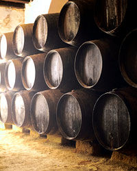 Private Full Day or Half Day Piedmontese Wine Tour of The Barolo Region