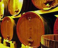 Great Provence Wines and Famous Sites by Minivan