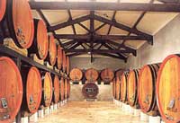 Private Half Day Provence Wine Tour - Tavel, Lirac, Chateauneuf-du-Pape