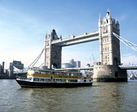 Thames River Circular Sightseeing Cruise
