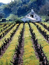 Napa Valley Wine Train