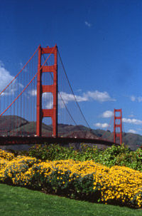 San Francisco Deluxe City Tour plus Wax Museum Tour