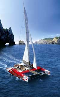 The Ultimate Day Sail in the Bay