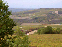 Day Trip in Burgundy by Bike or Chauffeur Driven