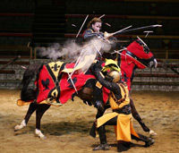 Medieval Times Dinner and Tournament in Anaheim