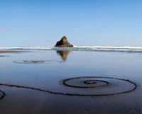 Auckland Highlights combined with Wilderness Experience Eco-Tour