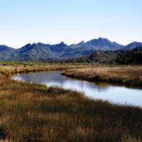 Auckland's Untamed Great Barrier Island Tour