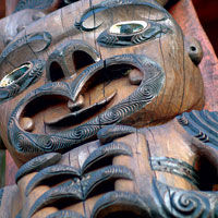 Coast and Rainforest Walk Eco-Tour from Auckland