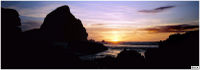 Wilderness Experience Eco-Tour from Auckland