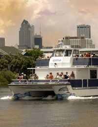 Dolphin Cruise from The Florida Aquarium in Tampa Bay