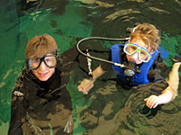 Swim with the Fishes
