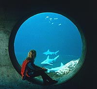 The Florida Aquarium