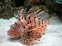 The Florida Aquarium in Tampa Bay