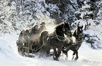 Christmas Horse Drawn Sleigh Ride from Salzburg