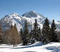 Silent Night, Holy Night - Christmas Eve Tour to the Silent Night Chapel in Oberndorf