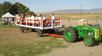 Hay Wagon Rides