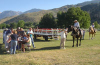 Horse Trail Rides