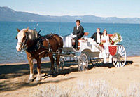 Lake Tahoe Carriage Ride