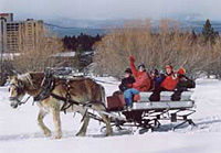 Lake Tahoe Sleigh Ride