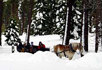 Sleigh Ride with Dinner
