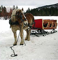 Sunset Sleigh Ride and Dinner