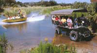 Big Cypress Day Package