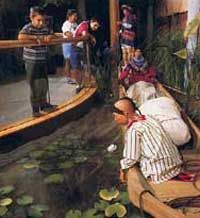 Billie Swamp Safari Park - Big Cypress Day Package