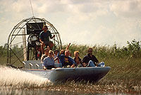 Billie Swamp Safari Park - Day Package