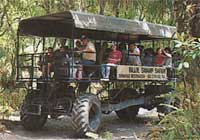 Swamp Buggy Eco Tour